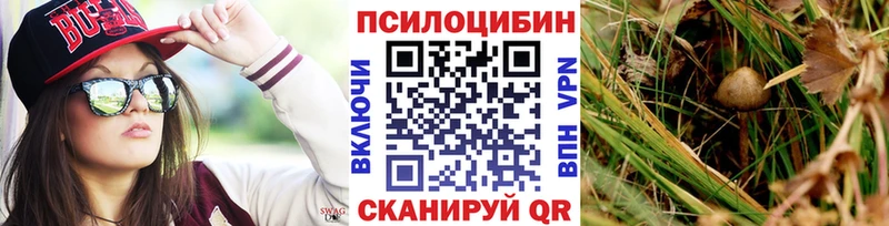маркетплейс Telegram  Вологда  Галлюциногенные грибы Magic Shrooms  где можно купить наркотик 